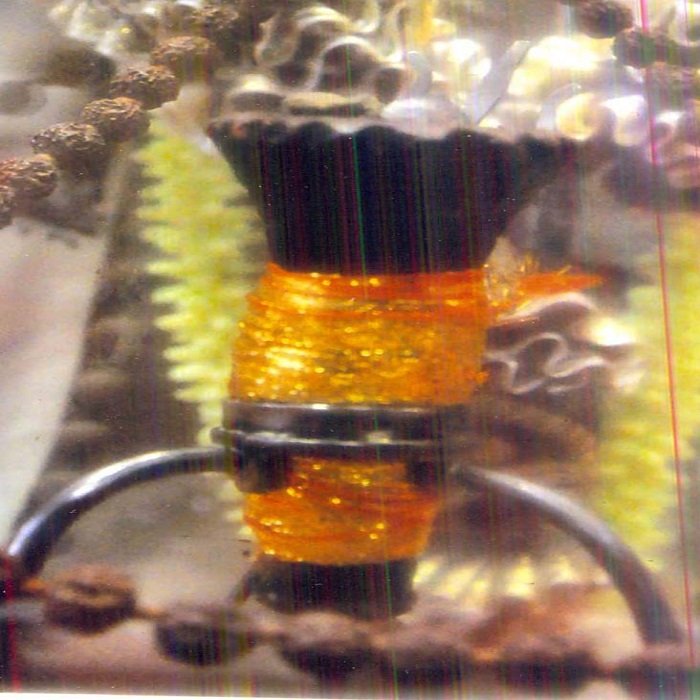 gall-img-016a